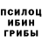 Псилоцибиновые грибы Magic Shrooms Borchik Osh