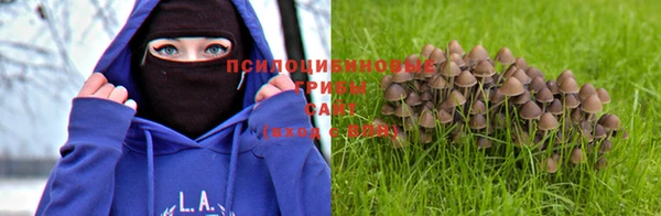 спиды Баксан