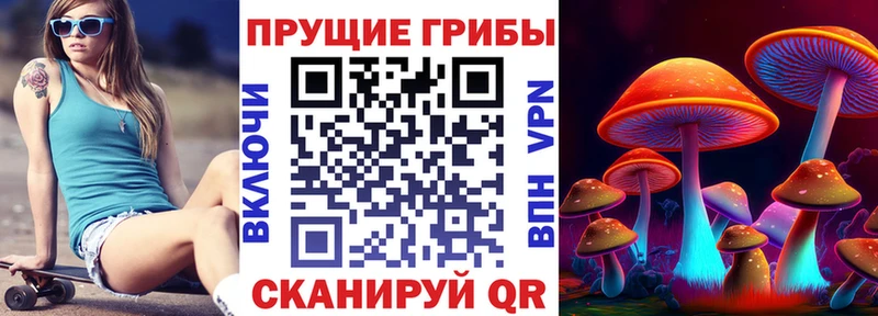 закладка  Шагонар  Псилоцибиновые грибы мухоморы 